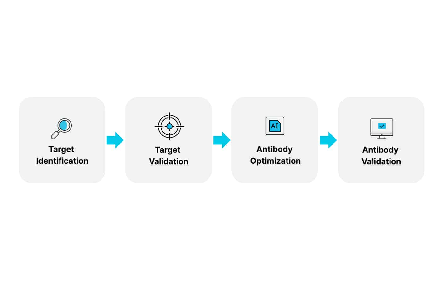 Target validation and antibody optimization