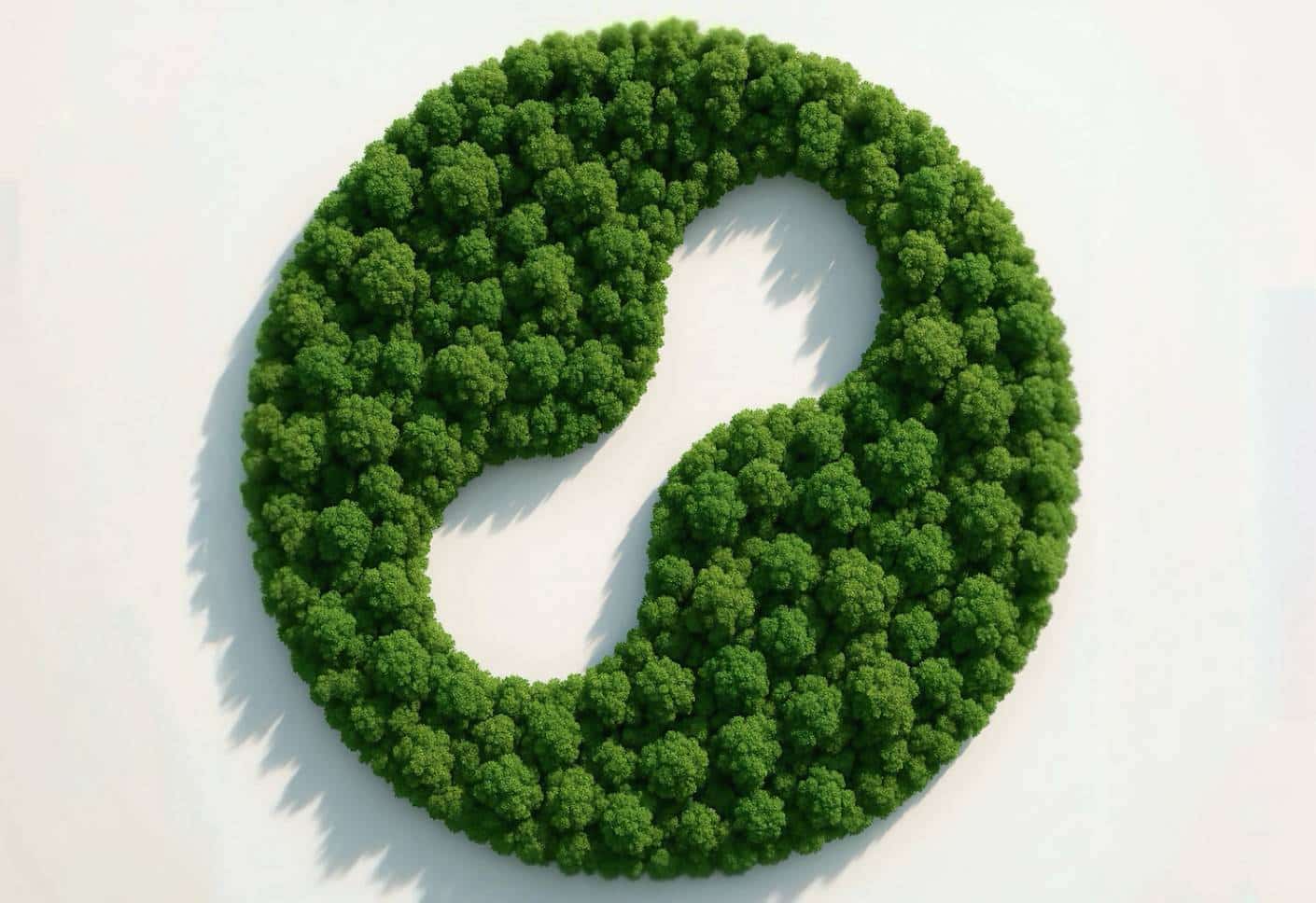 See How We’re Creating Long-Term Value